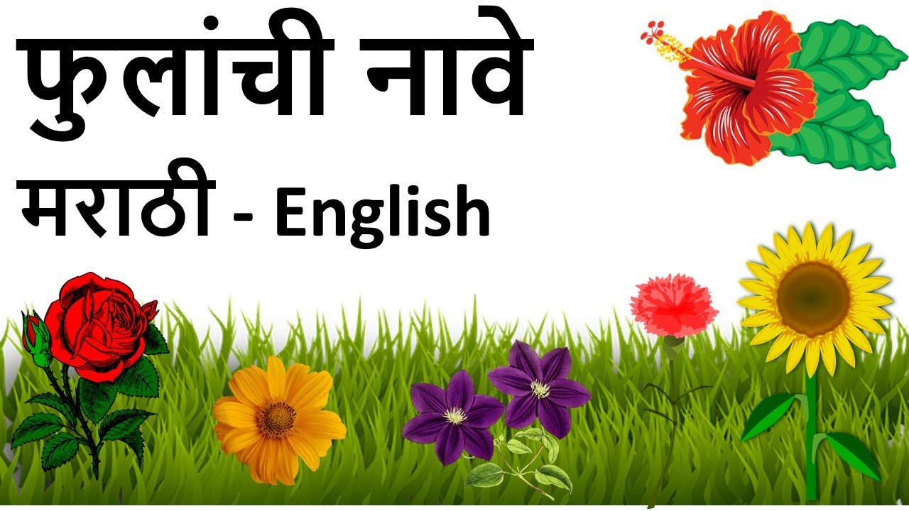 फुलांची नावे इंग्रजी व मराठी | Flower names in English and Marathi | kids Vocabulary