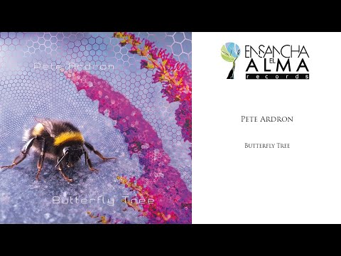 Pete Ardron - Butterfly Tree