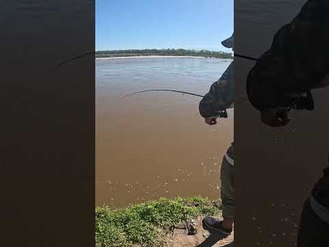 Este lugar CAMBIO TOTALMENTE!! LOS GOMEZ PESCA Y COCINA #pesca #fishing #fish #tucuman #argentina