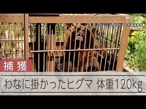 夜の街「風営法適用で感染の根源をつぶしたい」　菅長官 動画：朝日新聞デジタル