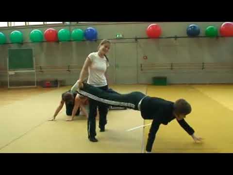 Affen, Tiger, Clowns und Voltigierer II (6)