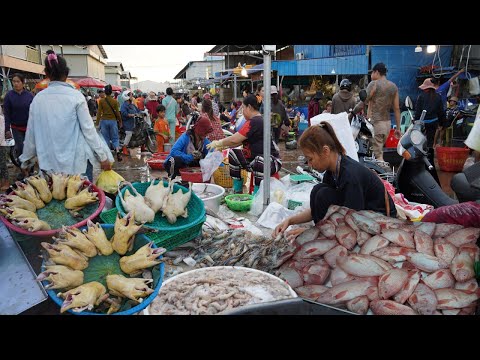 Early Morning Fish Market Scene - Alive Fish, Dry Fish, Snail, Eel, Crab & More Seafood @Prek Phnov