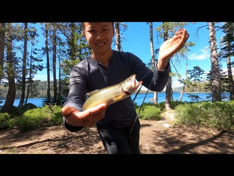 Gold Lake: Plumas National Forest