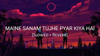 Maine Sanam Tujhe Pyar Kiya Hai Slowed + Reverb - 