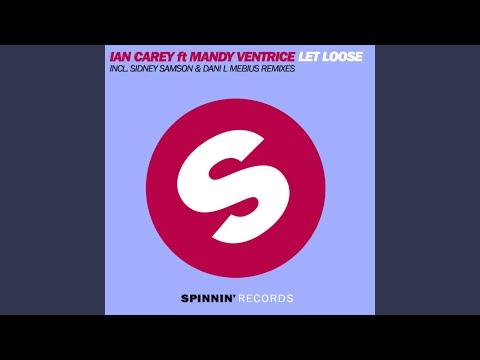 Let Loose (Sidney Samson Remix)