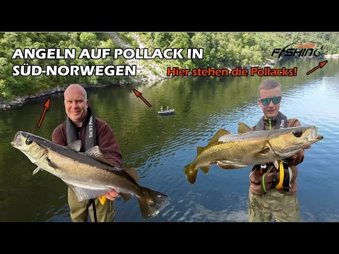 Angeln in Norwegen/ mit Gummifisch gezielt auf Pollack/ so fangt ihr Pollack!