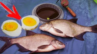 Яичный желток для рыбалки