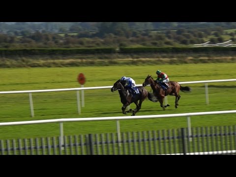 Final Meeting of 2015 Season at Roscommon Races - 28th September 2015