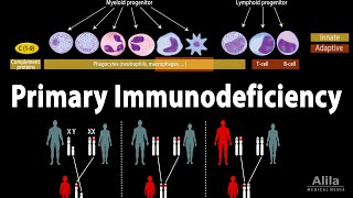 Primary Immunodeficiency Disorder (PID)