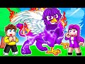 I Spent $100,000 on The Best Dash Bird in Feather Family...