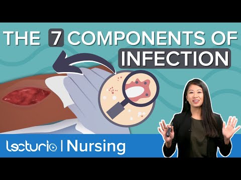 What Causes an INFECTION? :  Breaking the Chain of Infection | Lecturio Nursing Fundamentals/Theory