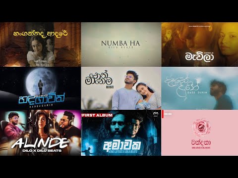 DILU BEATS BEST SINHALA SONG COLLECTION | තනියම ඉන්න වෙලාවට අහන්න හොඳම සිංදු ටික | 2024