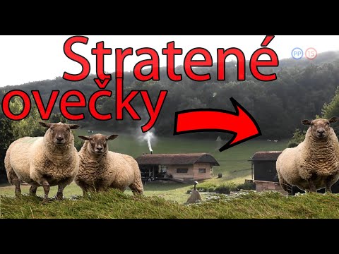 Farma 13 - E16 Stratené ovečky a nový farmár týždňa