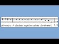 Magnificat (Tone 2, D, g.) 