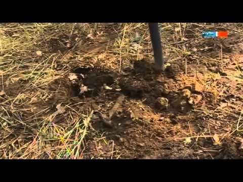 Kampfmittelräumer İn Aktion Doku Deutsch