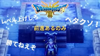 【ドラゴンクエストIII　そして伝説へ…】最初のボス倒しに行くわ