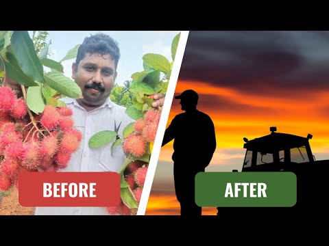 From Classroom to Cash: Lohit Shetty's Rambutan Empire.