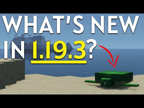 What's New in Minecraft 1.19.3?