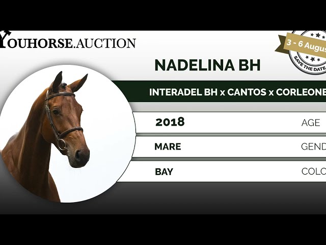 Nadelina