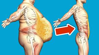 6 simple steps and your belly fat will melt away💥(Incredibly fast)🤯