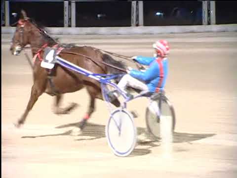 Trotto 25/01/2019 - 7ª corsa - TRIS