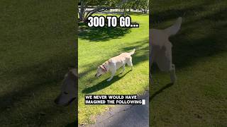 She’s ONLY 300 Subscribers Away from 200K… Can We Do It? 🐶❤️