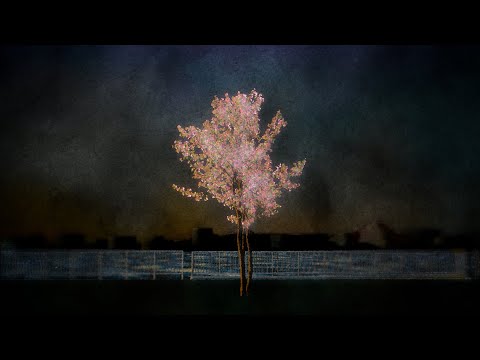 日食なつこ - 'やえ' Official Music Video