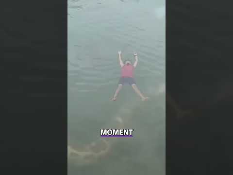 Giant Anaconda or Titanoboa?! River Snake Caught on Camera!