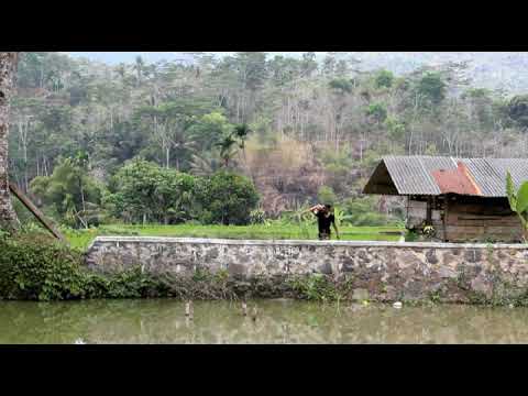 INDONESIAN SKY - ERRY BLIND  #LivingFreedomIndonesia