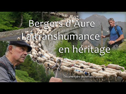 BERGERS D'AURE LA TRANSHUMANCE EN HERITAGE Bande annonce du documentaire