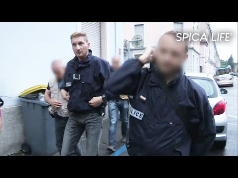 Police aux frontières : face au banditisme de l'Est