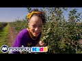 Meekah Visits Southern Hill Farms Meekah Super Kids Cartoons Songs MOONBUG KIDS Superheroes