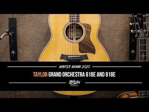 Max at NAMM 2020: Taylor Grand Orchestra 618 and 818