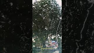 Download lagu Chrisye - Menjadi Seperti yang Kau Minta (Short Story) mp3 Download lagu Chrisye - Menjadi Seperti yang Kau Minta (Short Story) mp3