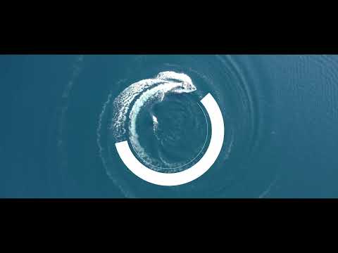 Lecco | Land of colors | FullHD