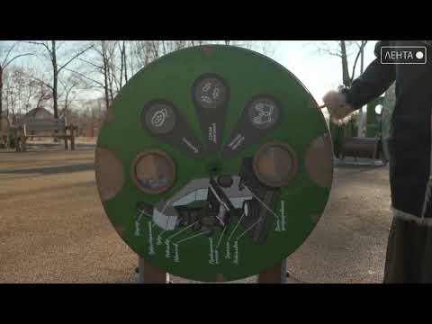 «Биология, занимательная систематика» – новая интерактивная площадка в Заводском