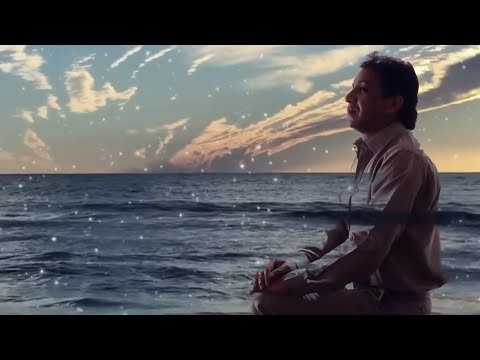 Diomedes Díaz - Gaviota Herida  (Letra Oficial)