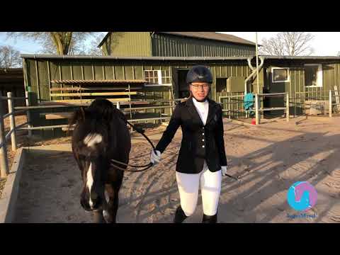 Bodenarbeit - Mittel: BA-M-7 - Anna Nehrmann & Vincent - März 2020- EquiMind