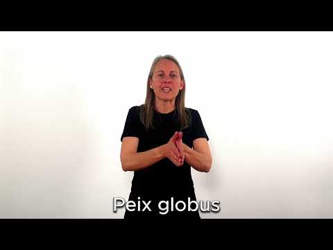 Peix globus - LSC
