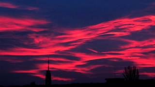 Red Bald Head- Shachar Elnatan