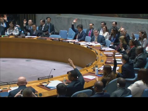 UN Security Council 'demands' Gaza aid deliveries at scale | AFP
