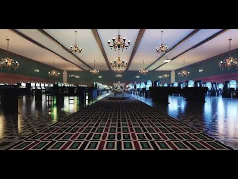 Dee - Pase ft FUFU (Visualizer)