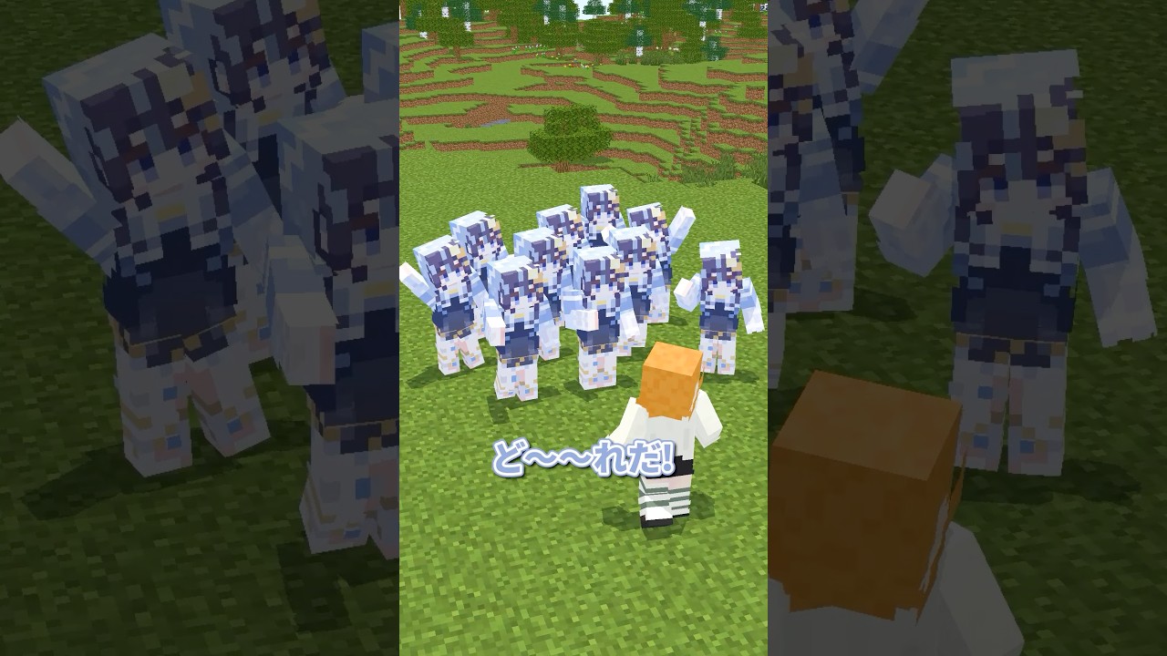 本物のゆらぎはどれだ！？ #minecraft