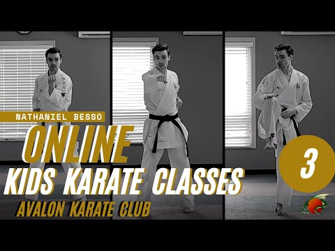 Online Kids Karate Class #3 - Avalon Karate Club