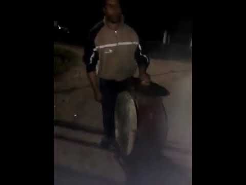 Mangu seaca de Câmp