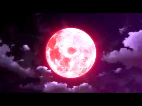 Rozz Dyliams - Force Flex