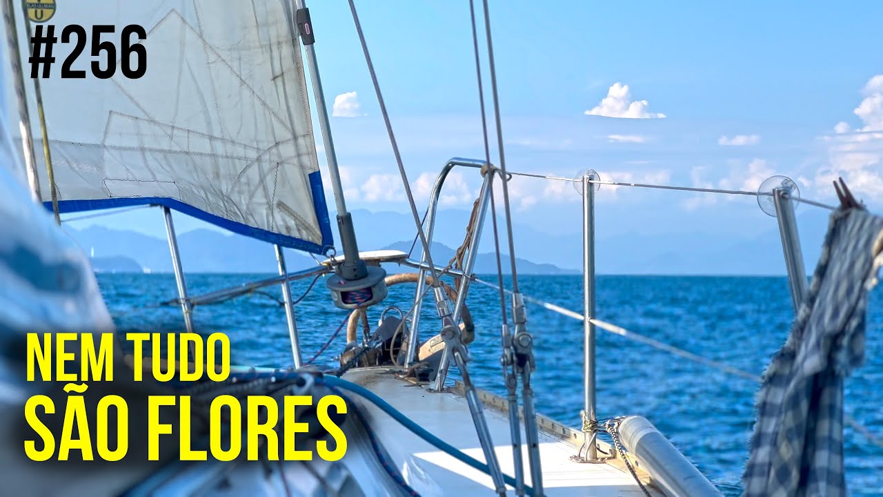 Returning to Solve Problems on the Balance | #SAL #256