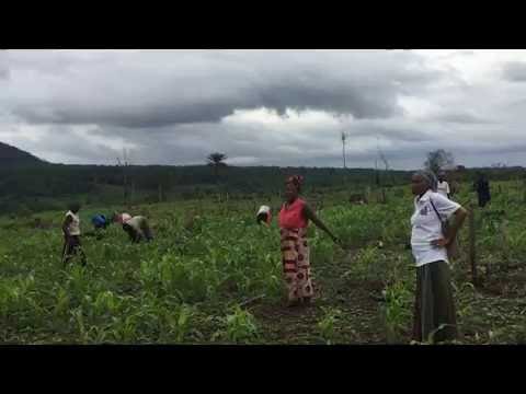 Sierra Leonean farmers in the Moyamba District welcome SOBA