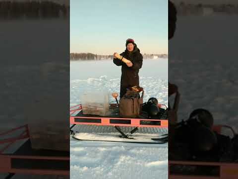 Made ja hauki koukut veteen 1.