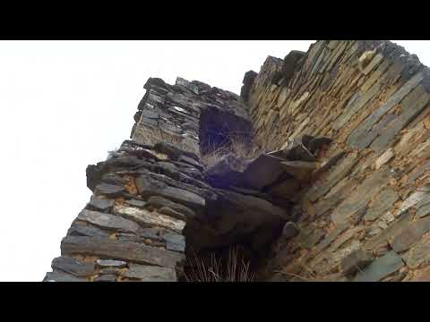 Soltero Castillo - Jircán - Huamalíes - Huánuco 06 enero 2026